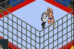 Fire Pro Wrestling 2 (Game Boy Advance)