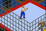 Fire Pro Wrestling 2 (Game Boy Advance)