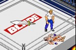 Fire Pro Wrestling 2 (Game Boy Advance)