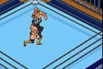 Fire Pro Wrestling 2 (Game Boy Advance)