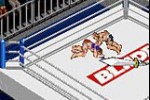 Fire Pro Wrestling 2 (Game Boy Advance)