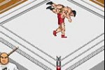 Fire Pro Wrestling 2 (Game Boy Advance)