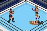 Fire Pro Wrestling 2 (Game Boy Advance)