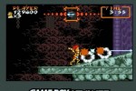 Super Ghouls 'N Ghosts (Game Boy Advance)