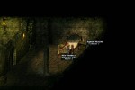 Divine Divinity (PC)