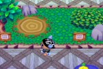 Animal Crossing (GameCube)