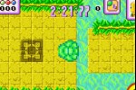 Turbo Turtle Adventure (Game Boy Advance)