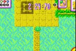 Turbo Turtle Adventure (Game Boy Advance)