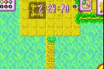 Turbo Turtle Adventure (Game Boy Advance)