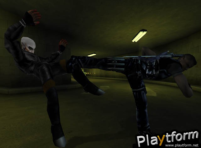 Blade II (PlayStation 2)
