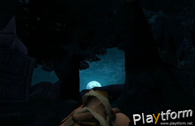 The Mark of Kri (PlayStation 2)