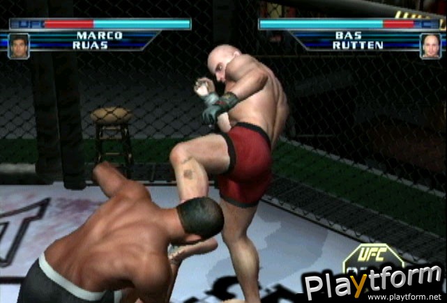 Ultimate Fighting Championship: Throwdown (GameCube)