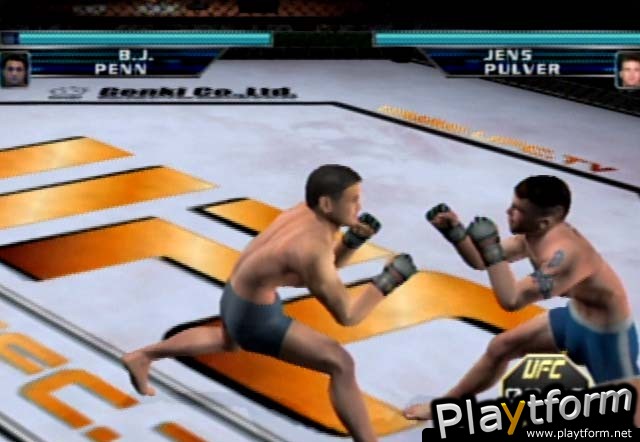 Ultimate Fighting Championship: Throwdown (GameCube)