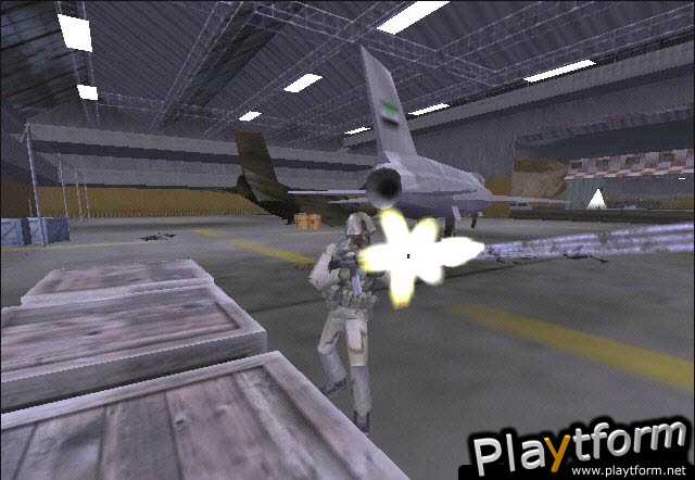 Delta Force: Task Force Dagger (PC)