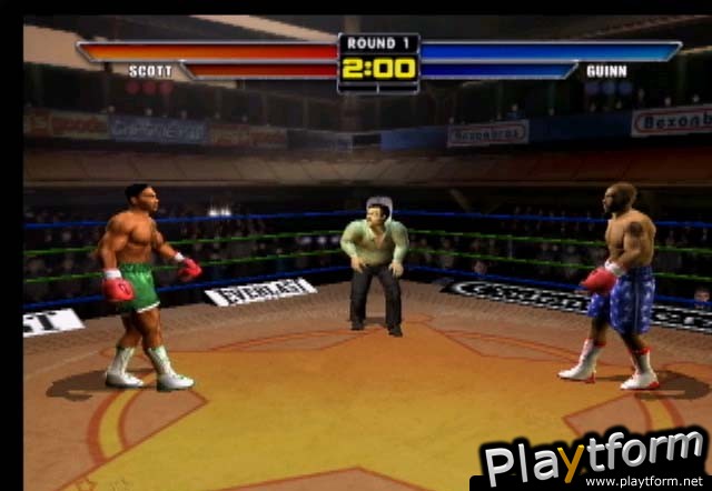 Mike Tyson Heavyweight Boxing (PlayStation 2)