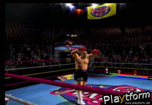 Mike Tyson Heavyweight Boxing (PlayStation 2)