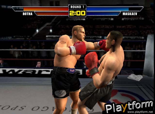 Mike Tyson Heavyweight Boxing (PlayStation 2)