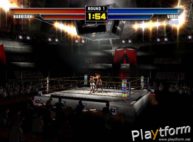 Mike Tyson Heavyweight Boxing (PlayStation 2)