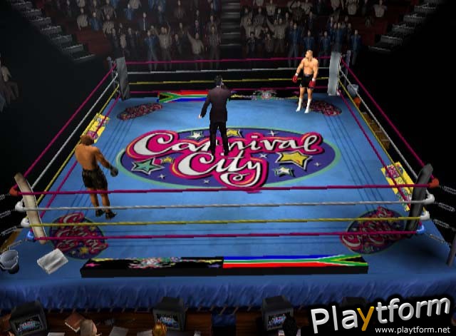 Mike Tyson Heavyweight Boxing (PlayStation 2)