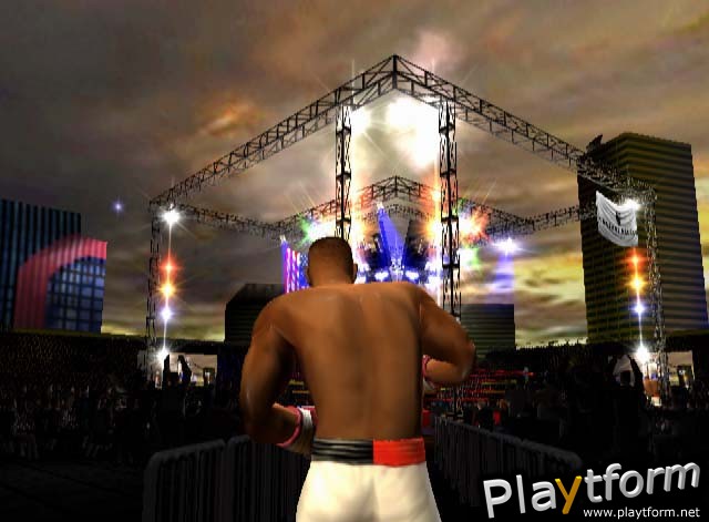 Mike Tyson Heavyweight Boxing (PlayStation 2)