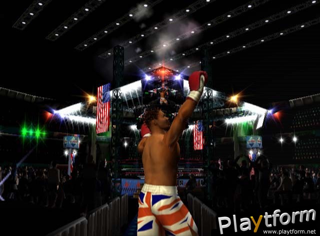 Mike Tyson Heavyweight Boxing (PlayStation 2)