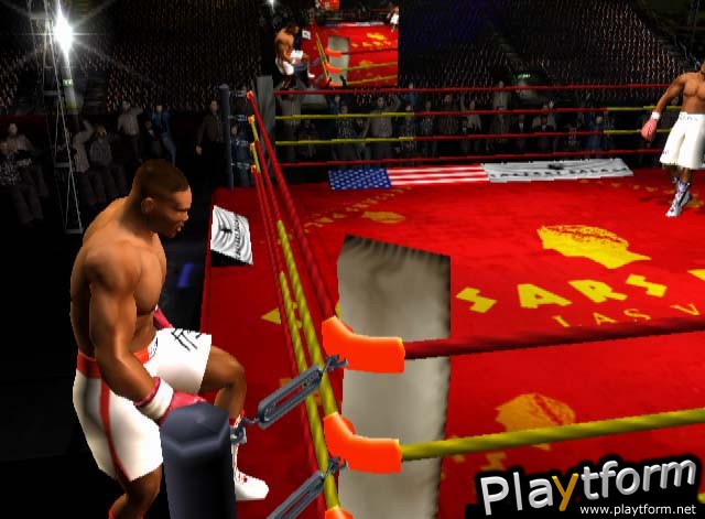 Mike Tyson Heavyweight Boxing (PlayStation 2)