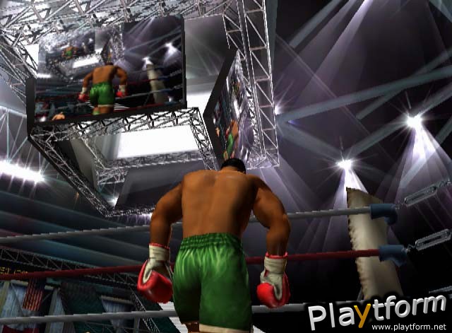 Mike Tyson Heavyweight Boxing (PlayStation 2)