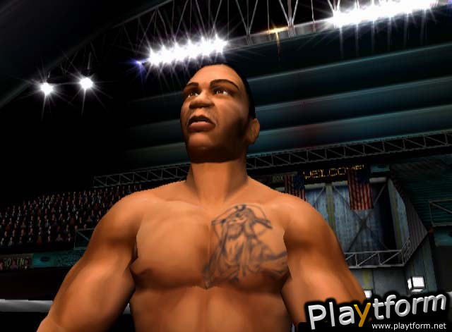 Mike Tyson Heavyweight Boxing (PlayStation 2)