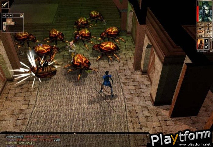 Neverwinter Nights (PC)