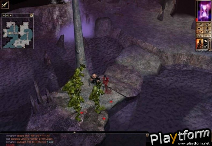 Neverwinter Nights (PC)