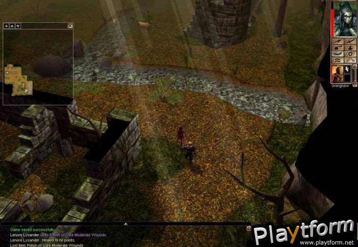 Neverwinter Nights (PC)