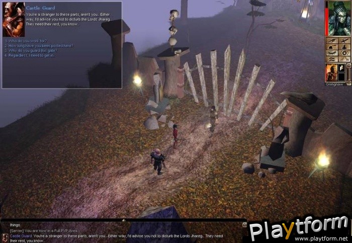 Neverwinter Nights (PC)