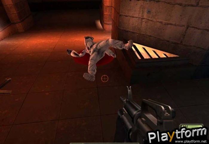 Soldier of Fortune II: Double Helix (PC)