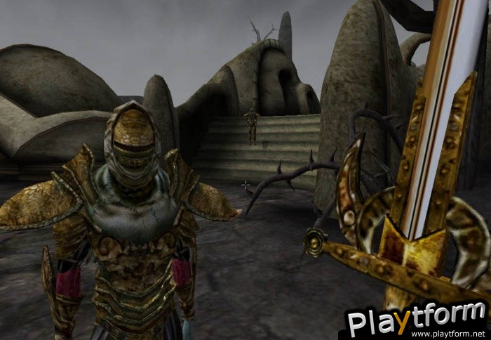 The Elder Scrolls III: Morrowind (PC)