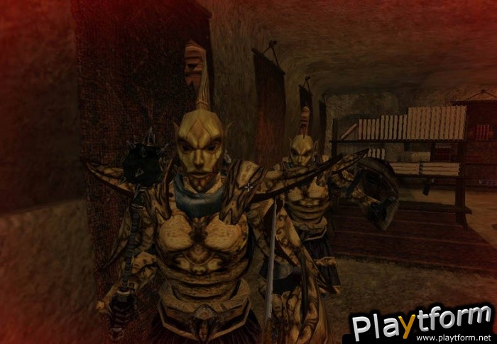 The Elder Scrolls III: Morrowind (PC)