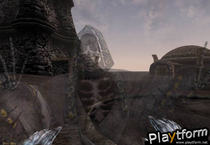 The Elder Scrolls III: Morrowind (PC)