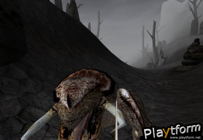 The Elder Scrolls III: Morrowind (PC)