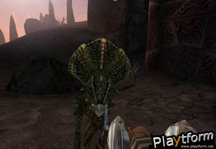 The Elder Scrolls III: Morrowind (PC)