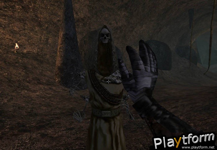 The Elder Scrolls III: Morrowind (PC)