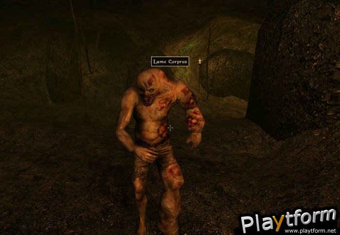 The Elder Scrolls III: Morrowind (PC)