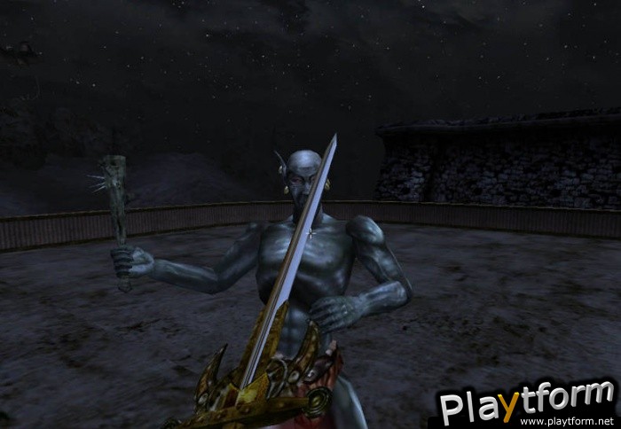 The Elder Scrolls III: Morrowind (PC)