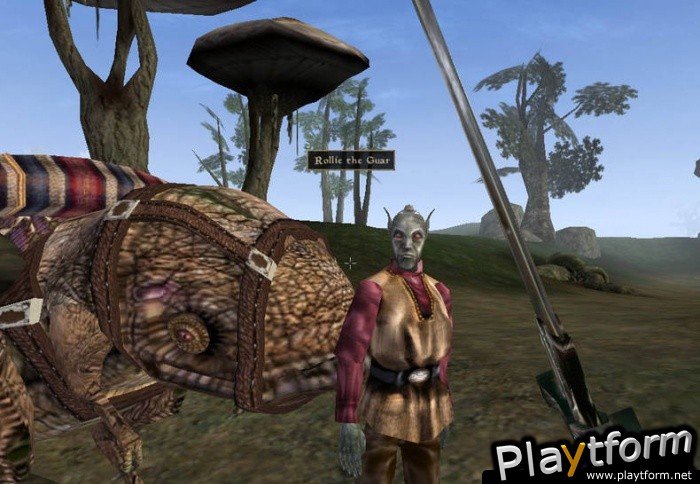 The Elder Scrolls III: Morrowind (PC)
