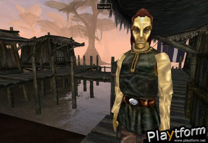 The Elder Scrolls III: Morrowind (PC)