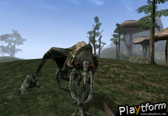 The Elder Scrolls III: Morrowind (PC)