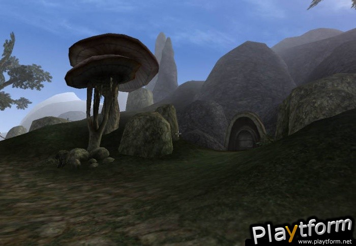 The Elder Scrolls III: Morrowind (PC)