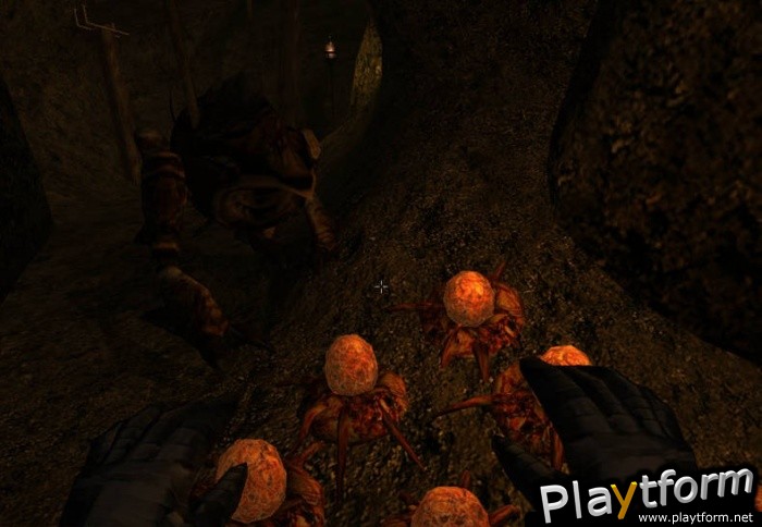 The Elder Scrolls III: Morrowind (PC)