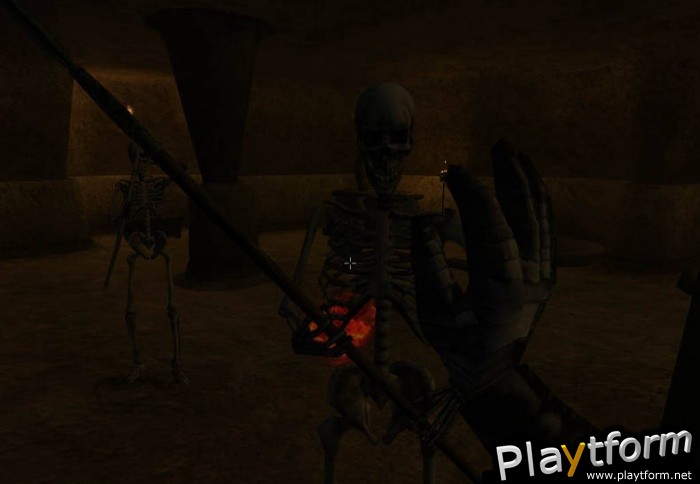 The Elder Scrolls III: Morrowind (PC)
