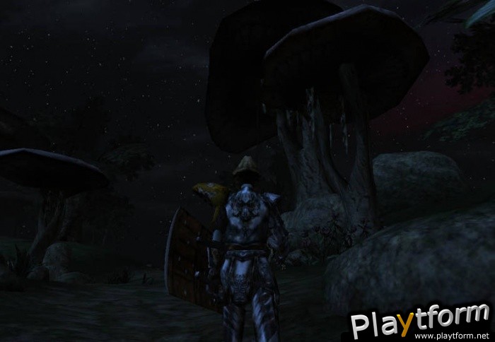 The Elder Scrolls III: Morrowind (PC)