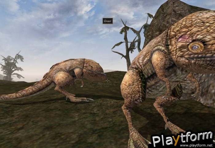 The Elder Scrolls III: Morrowind (PC)