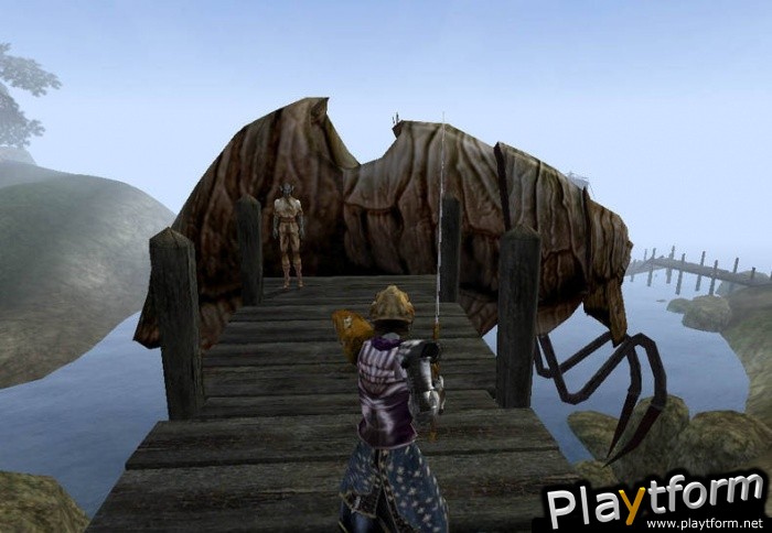 The Elder Scrolls III: Morrowind (PC)